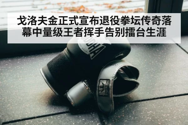 戈洛夫金正式宣布退役拳坛传奇落幕中量级王者挥手告别擂台生涯