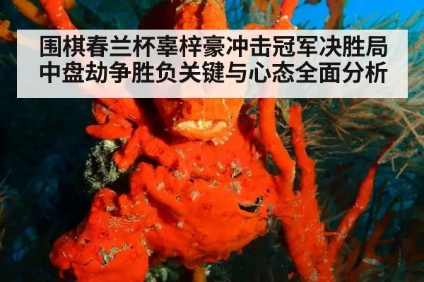 围棋春兰杯辜梓豪冲击冠军决胜局中盘劫争胜负关键与心态全面分析